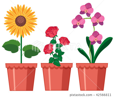 A Set of Flower in Pot A Set of Flower in Pot 42566811