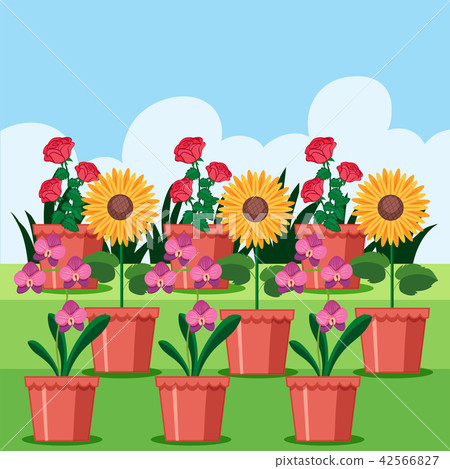 图库插图: a set of flower in pot