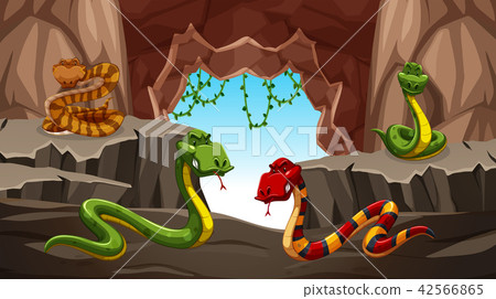 Dangerous snake in the cave Dangerous snake in the cave 42566865