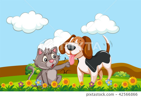 A dog and cat in a garden 42566866