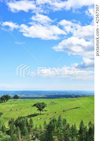 藍天Naitai高地大農場 藍天Naitai高地大農場 42567307