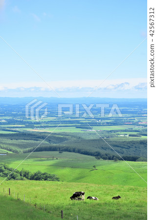 Naitai highland ranch of blue sky Naitai highland ranch of blue sky 42567312