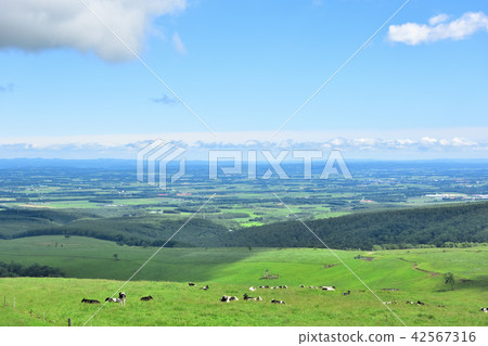 藍天Naitai高地大農場 42567316