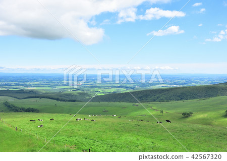 Naitai highland ranch of blue sky Naitai highland ranch of blue sky 42567320