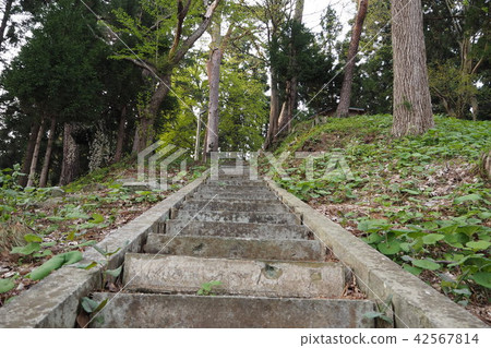The approach to the ground 3 The approach to the ground 3 42567814