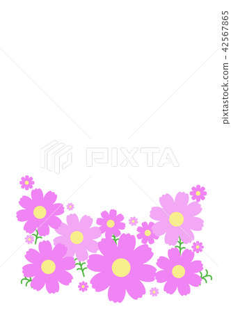Cosmos frame material 42567865