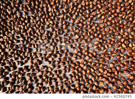 Top view of chestnut drying on sun 42568745