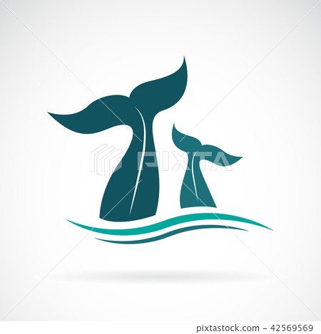 Vector of whale tail design on white background. Vector of whale tail design on white background. 42569569
