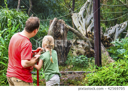 Father explaining daughter monkeys in the zoo 42569705