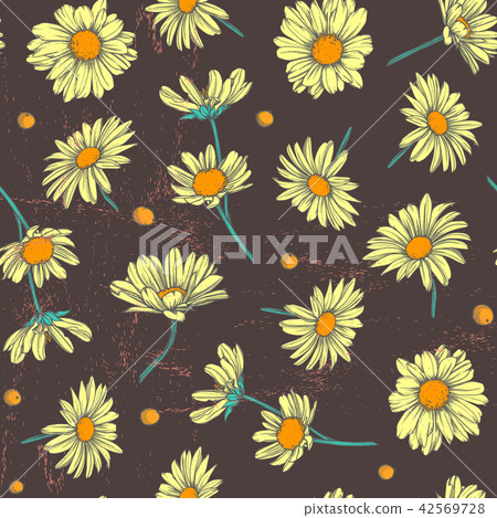 Retro seamless pattern chamomile Retro seamless pattern chamomile 42569728