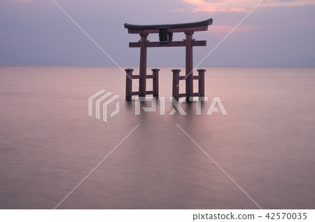 Shirahashi Shrine的黎明 Shirahashi Shrine的黎明 42570035