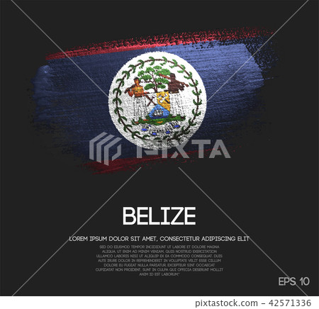 Belize Flag Made of Glitter Sparkle Brush Paint 42571336