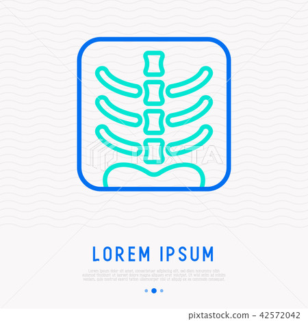 X-ray image of human spine thin line icon X-ray image of human spine thin line icon 42572042
