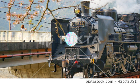 Oigawa Railway 42572351
