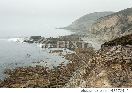 Summer Atlantic rocky coast view Summer Atlantic rocky coast view 42572441