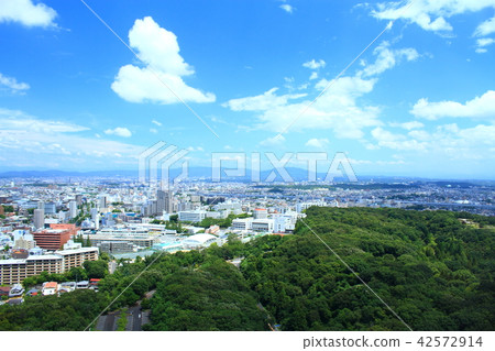 Scenery in the vicinity of Hoshigaoka, Nagoya City in the summer 42572914