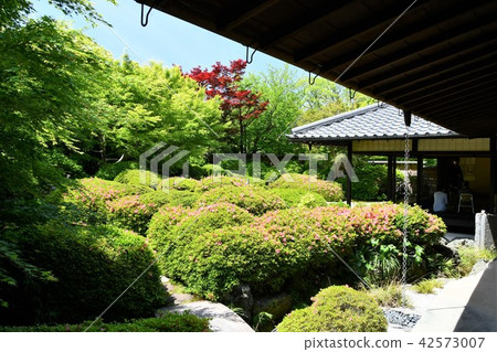 Haruyamaen Shinsakukaku在春天 42573007