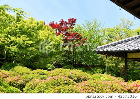 Haruyamaen Shinsakukaku在春天 Haruyamaen Shinsakukaku在春天 42573010