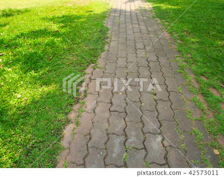 The walkway in the park under the shade of tree The walkway in the park under the shade of tree 42573011