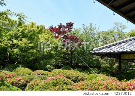 Haruyamaen Shinsakukaku在春天 Haruyamaen Shinsakukaku在春天 42573012