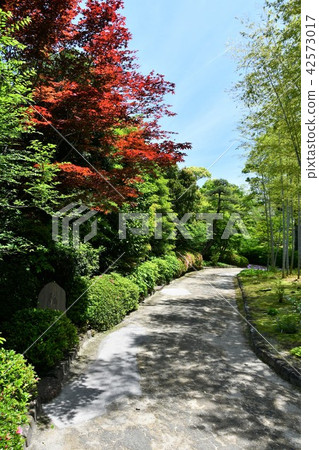 Haruyamaen Shinsakukaku在春天 Haruyamaen Shinsakukaku在春天 42573017