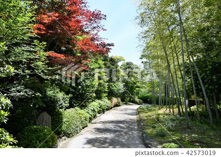 Haruyamaen Shinsakukaku in spring Haruyamaen Shinsakukaku in spring 42573019