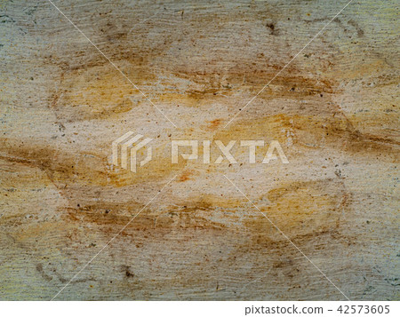 Surface bark of eucalyptus tree. 42573605