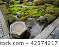 Scenery with moss 335 42574217