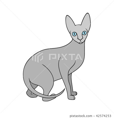 Cartoon sphynx cat Cartoon sphynx cat 42574253