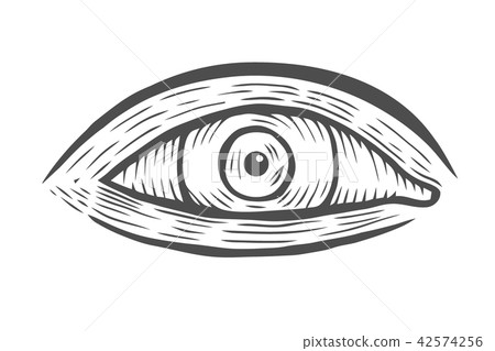 illustration of human eye 42574256
