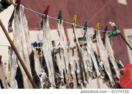 Fish drying in open air Fish drying in open air 42574316