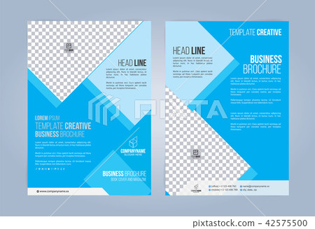Blue and White Business Brochure. 42575500