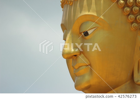 Buddha statue 42576273