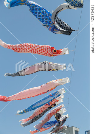 Carp streamer Carp streamer 42576485