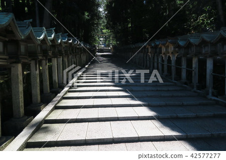 [近畿三度神道三十六號聖地]奈良縣生駒市生駒寺門法山寺寺29號 42577277