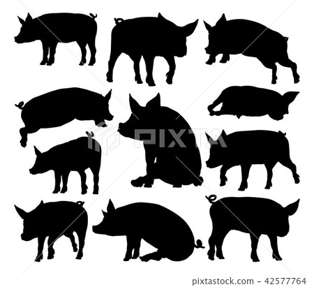 Pig Silhouettes Farm Animal Set Pig Silhouettes Farm Animal Set 42577764