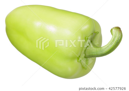 Pale green bell pepper, paths 42577926