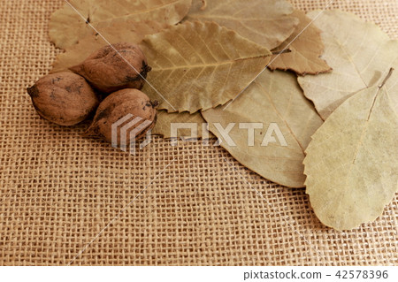 Fall image Fall image 42578396