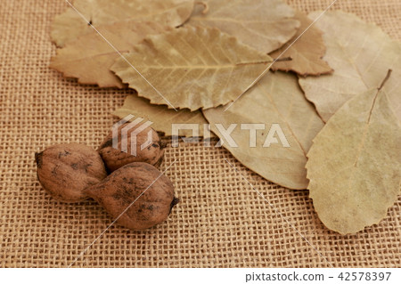 Fall image Fall image 42578397