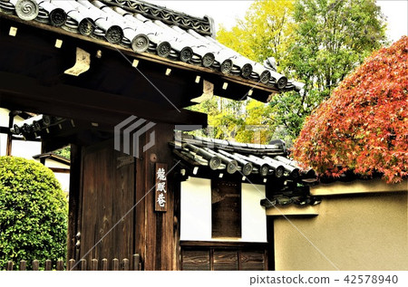 彩色的樹木和東福寺寶塔和龍樂閣[京都市東山區] 42578940