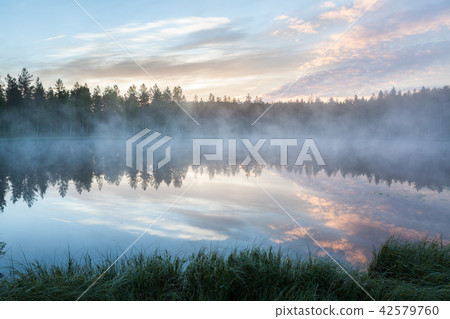Foggy morning at forest pond Foggy morning at forest pond 42579760