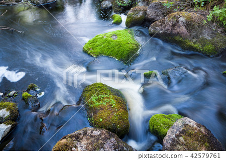 Small stream in mixed forest 42579761