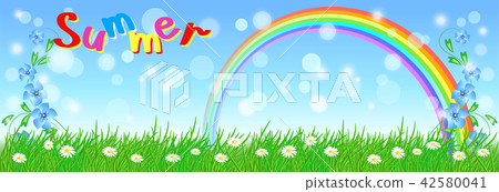 Rainbow in the sky and meadow flowers 42580041