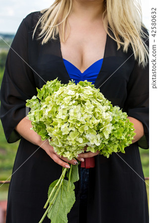 bouquet hydrangea in the hands 42580632