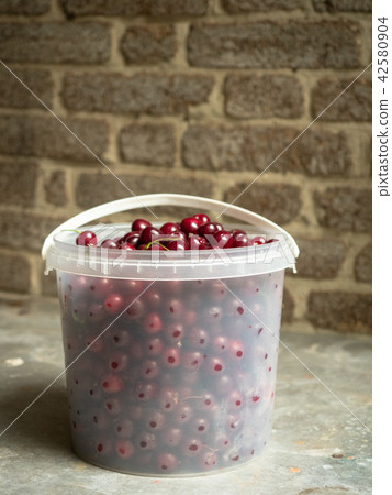 White bucket full of red ripe cherry, close up White bucket full of red ripe cherry, close up 42580904