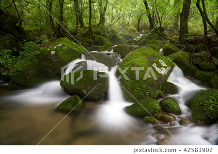 江原道,Sangdong,Yeongwol,江原道 江原道,Sangdong,Yeongwol,江原道 42581902