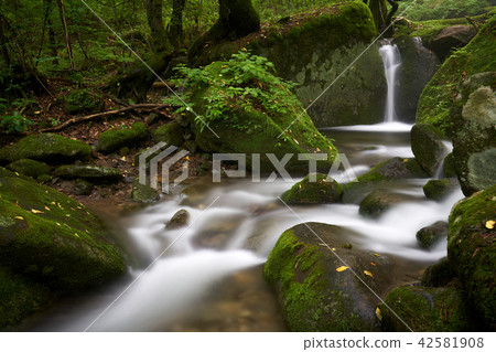 Gangwon-do, Sangdong, Yeongwol, Gangwon-do 42581908