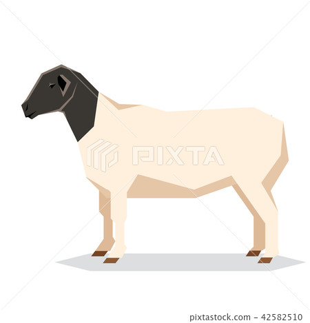 Flat geometric Dorper sheep 42582510
