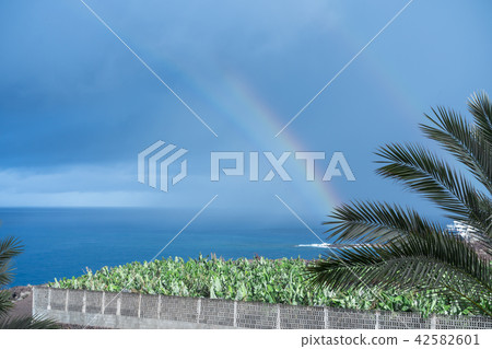 ocean, water, rainbow, Tenerife, after rain nature 42582601