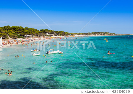 Ibiza island,beach Ses Salines  in Sant Josep  42584059